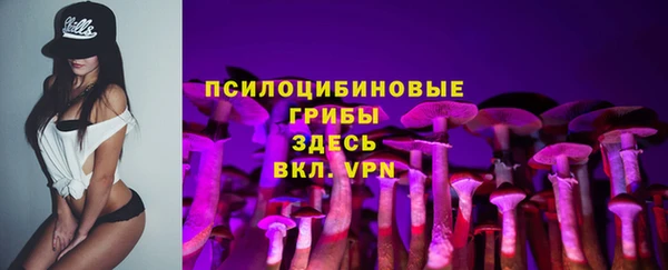 гидропоника Медвежьегорск