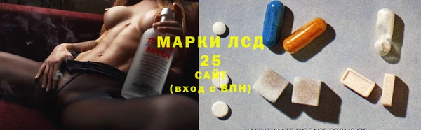 меф Ельня