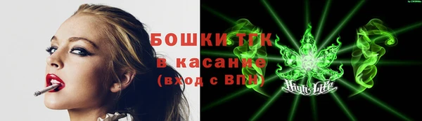 меф Ельня