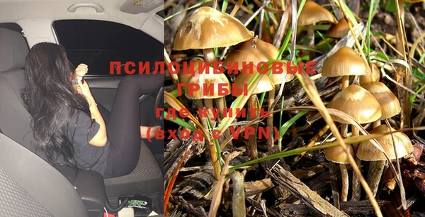 меф Ельня