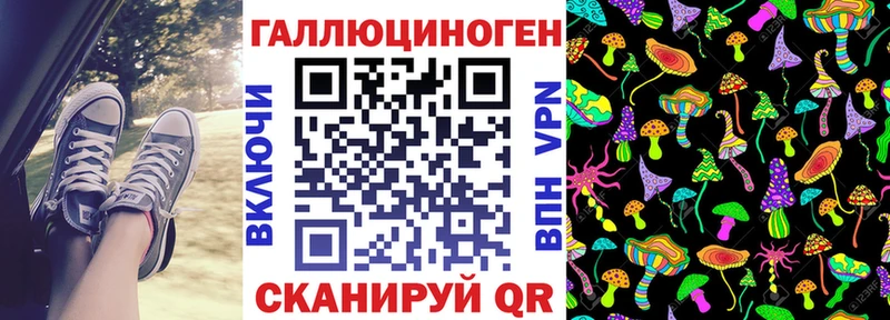 Псилоцибиновые грибы Psilocybine cubensis  Жирновск 